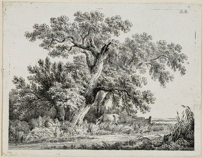 landskab af Martin von Molitor