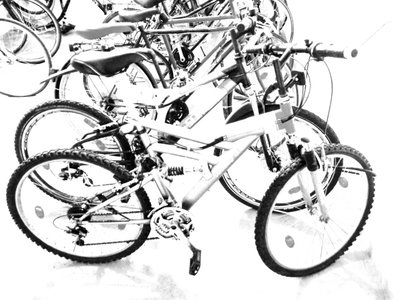 Cykler af Martina Konitzky