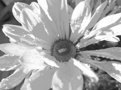 Grå af Martina Konitzky