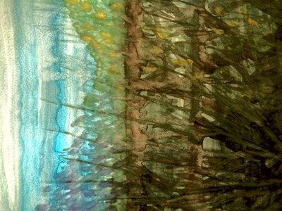 Sommer mark af Martina Konitzky