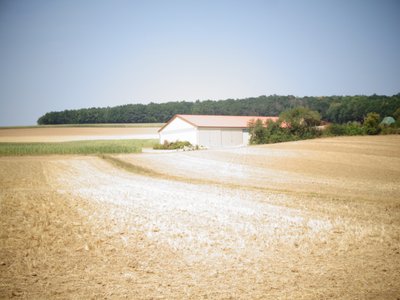 Kesä af Martina Konitzky