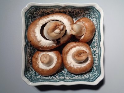 Villeroy og Boch porcelæn med svampe af Martina Konitzky