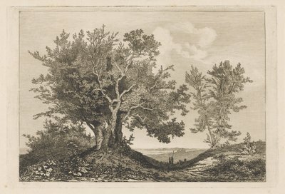 Landevej mellem de to træer af Martinus Antonius Kuytenbrouwer jr.