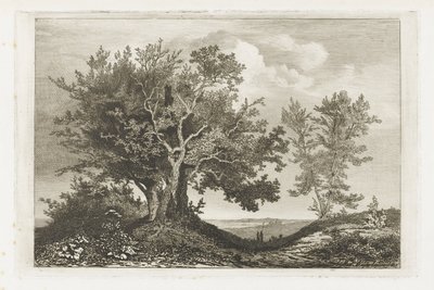 Landevej mellem de to træer af Martinus Antonius Kuytenbrouwer jr.
