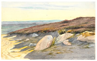 Fra Gærum bakker i Vendsyssel, 22. maj 1833 af Martinus Rørbye