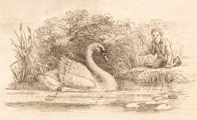 Illustration til "Halvhundrede Fabler for Børn" af Hey af Martinus Rørbye