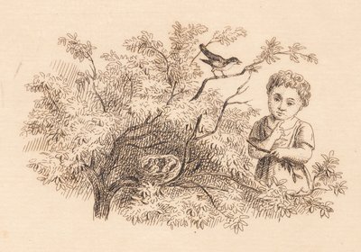 Illustration til "Halvhundrede Fabler for Børn" af Hey af Martinus Rørbye