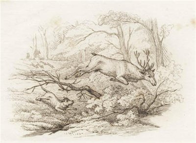 Illustration til "Halvhundrede Fabler for Børn" af Hey af Martinus Rørbye