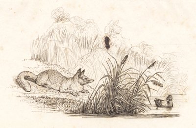 Illustration til "Halvhundrede Fabler for Børn" af Hey af Martinus Rørbye