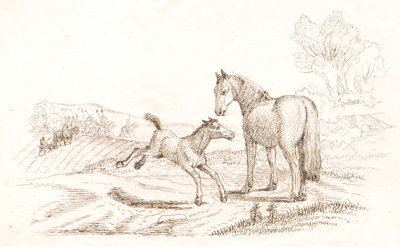 Illustration til "Halvhundrede Fabler for Børn" af Hey af Martinus Rørbye