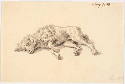 Liggende puddelhund af Martinus Rørbye