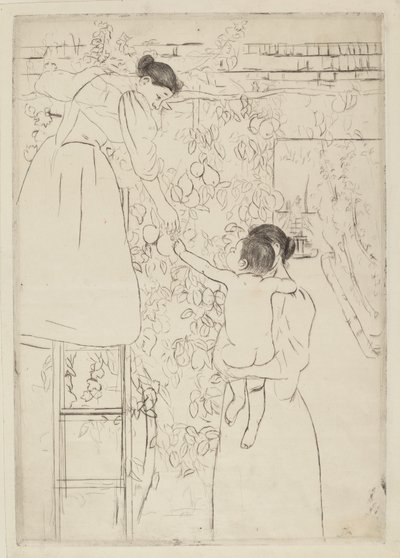 Samler frugt, c. 1893. af Mary Cassatt