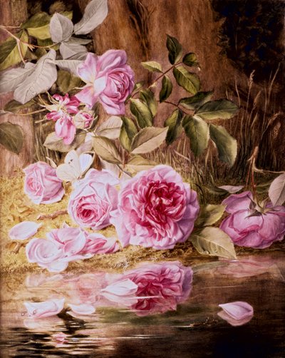 Blairie Roses (akvarel på papir) af Mary Elizabeth Duffield