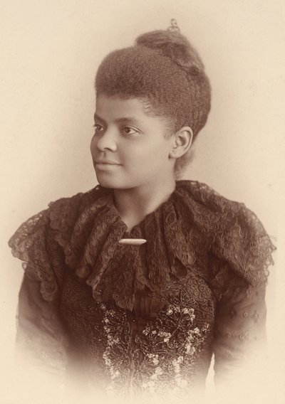 Ida B. Wells-Barnett af Mary Garrity