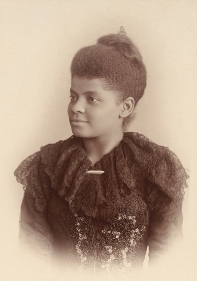 Ida B. Wells Barnett af Mary Garrity