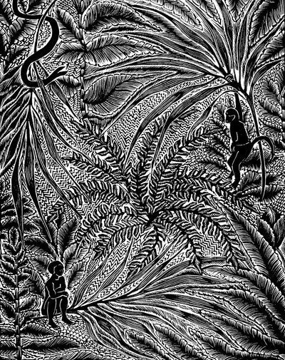 Jungle af Mary Kuper