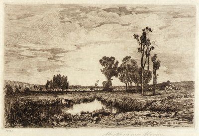 Kvæg i en dam af Mary Nimmo Moran