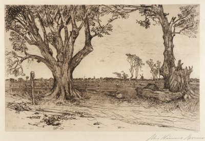 Old Lindens - nær Easthampton af Mary Nimmo Moran