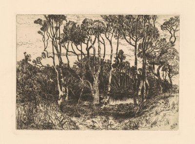 Ensomhed af Mary Nimmo Moran