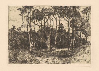 Ensomhed af Mary Nimmo Moran