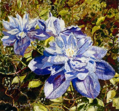 Klematis af Mary Smith