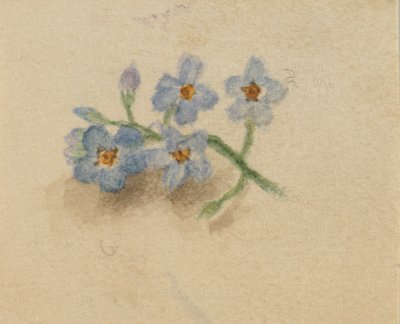(Uden titel) af Mary Vaux Walcott