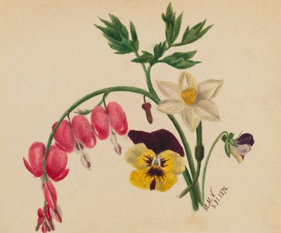 (Uden titel - blandede blomster) af Mary Vaux Walcott