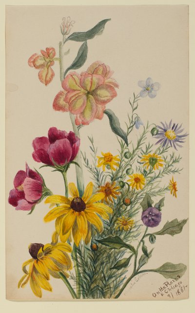 Gruppe af blomster af Mary Vaux Walcott