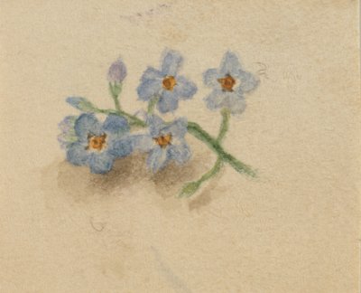 Uden titel, 1874. af Mary Vaux Walcott