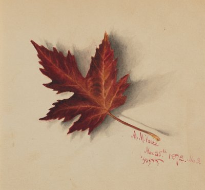 Uden titel efterårsblad, 1872. af Mary Vaux Walcott