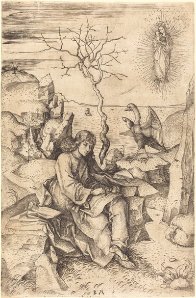 Sankt Johannes på Patmos af Master BM