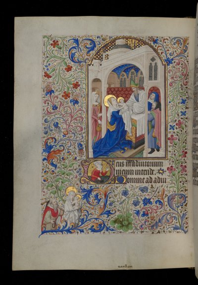 Præsentation i templet af Master Dunois