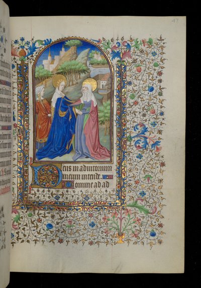 Besøg af Master Dunois