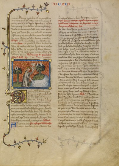 Skabelsen af fugle og fisk af Master of Jean de Mandeville