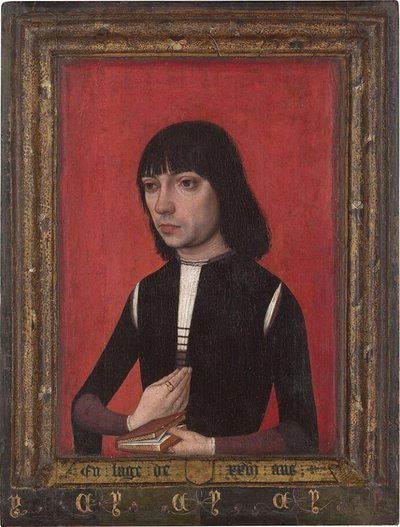 Hollandsk: Portræt af en ung mand fra Fonseca-familien Portræt af en ung mand fra Fonseca-familien af Master of Portraits of Princes