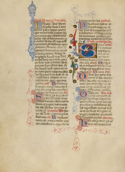 Indledende S: Helligåndens due af Master of the Brussels Initials
