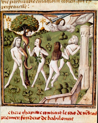 Adam og Eva plukker den forsvarede frugt Miniature of the Master of the Champion of Ladies (1400-tallet) fra manuskriptet "" Des hommes illustres"" af Giovanni Boccaccio (Jean Boccaccio) (1313-1375). 15. århundrede. Carpentras. Inguimbertine Bibliotek af Master of the Champion des Dames