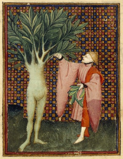 Apollo og Daphne af Master of the Cité des Dames
