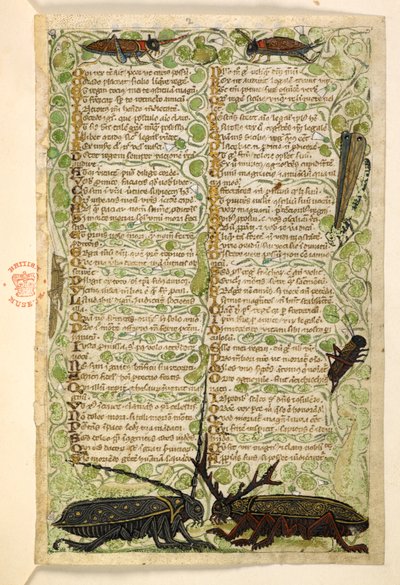 Tilføje. 28841, f.2: Hornbiller, græshopper og et locus.  Afhandling om dyder og laster og en anonym prosahistorie på Sicilien (fragment)  Cocharelli af Master of the Cocharelli Codex
