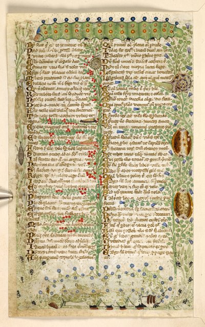 Tilføje. 28841, f.2v: Larver, snegle og andre insekter, fra en afhandling om dyder og laster, og en anonym prosahistorie på Sicilien (fragment), c.1330-40 (vellum) af Master of the Cocharelli Codex