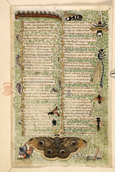 Tilføje. 28841, f.4: Hvepse, møl, guldsmede og en larve, fra en afhandling om dyder og laster, og en anonym prosahistorie på Sicilien (fragment), ca. 1330-40 (vellum) af Master of the Cocharelli Codex