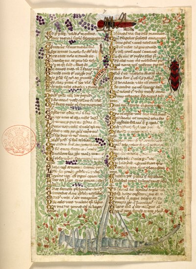 Tilføje. 28841, f.7, Blomster, frugter og insekter, inklusive en græshoppe og en græshoppe, fra en afhandling om dyder og laster, og en anonym prosahistorie på Sicilien (fragment) af Master of the Cocharelli Codex