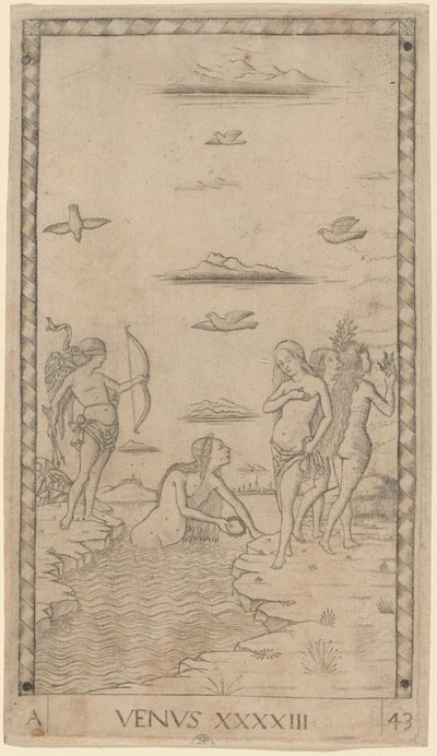 Venus af Master of the E Series Tarocchi