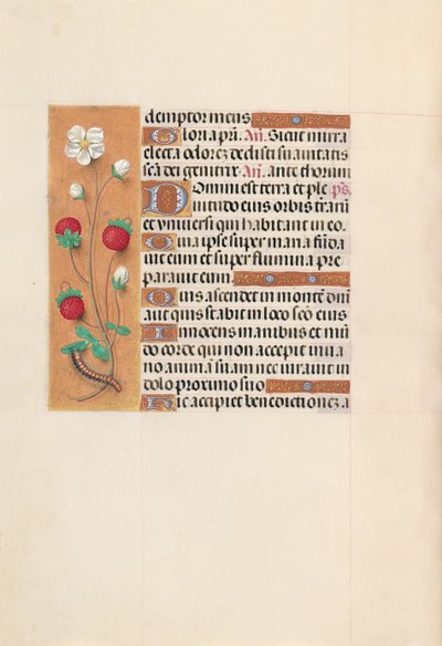 Hours of Dronning Isabella den Katolik, Dronning af Spanien: Fol. 102v, ca. 1500. af Master of the First Prayerbook of Maximillian