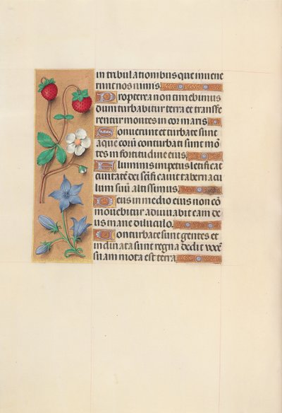 Hours of Dronning Isabella den Katolik, Dronning af Spanien: Fol. 105v, ca. 1500. af Master of the First Prayerbook of Maximillian