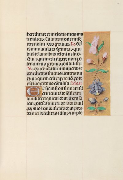 Hours of Dronning Isabella den Katolik, Dronning af Spanien: Fol. 111r, ca. 1500. af Master of the First Prayerbook of Maximillian