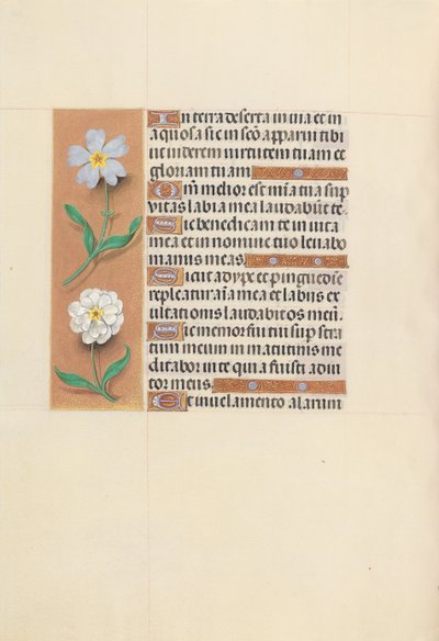 Hours of Dronning Isabella den Katolik, Dronning af Spanien: Fol. 117v, ca. 1500. af Master of the First Prayerbook of Maximillian