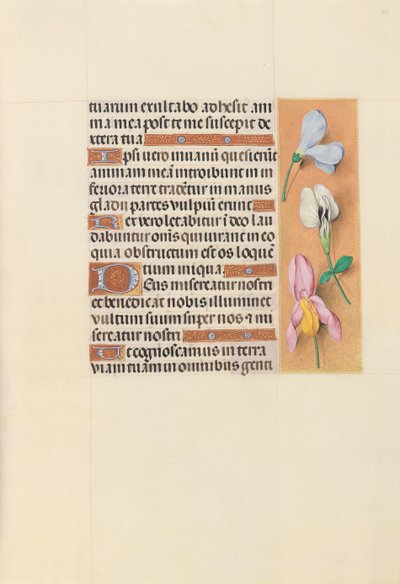 Hours of Dronning Isabella den Katolik, Dronning af Spanien: Fol. 118r, ca. 1500. af Master of the First Prayerbook of Maximillian