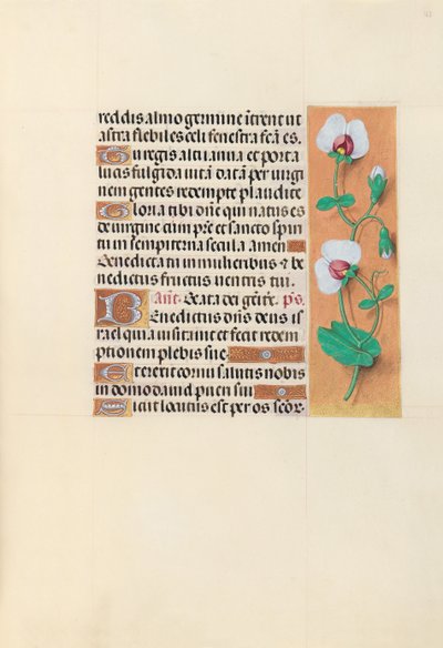 Hours of Dronning Isabella den Katolik, Dronning af Spanien: Fol. 123r, ca. 1500. af Master of the First Prayerbook of Maximillian