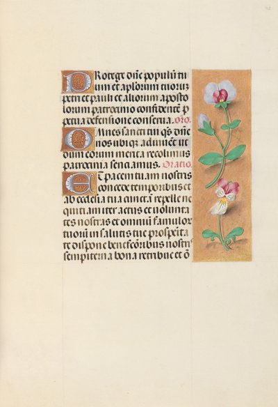 Hours of Dronning Isabella den Katolik, Dronning af Spanien: Fol. 125r, ca. 1500. af Master of the First Prayerbook of Maximillian